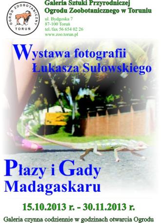 Płazy i Gady Madagaskaru