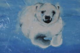 Rozdanie nagród w konkursie "Zwierzęta obszarów polarnych"