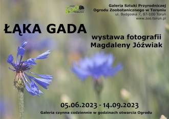 Plakat wystawy fotografii Magdaleny Jóźwiak "Łąka gada"