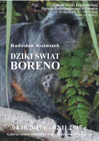 Dziki świat Borneo