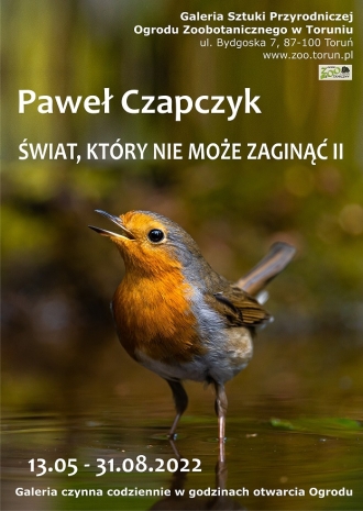 Plakat wystawy fotografii pod tytułem: Świat, który nie może zaginąć II, przestawiający ptaka rudzika